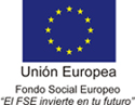 Fondo Social Europeo Logo